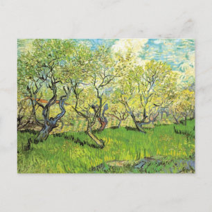 Obstgarten in Blossom, Vincent van Gogh Postkarte