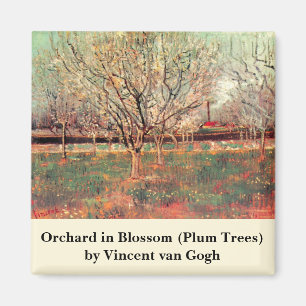 Obstgarten in Blüte, Pflaumenbäume von Vincent van Magnet
