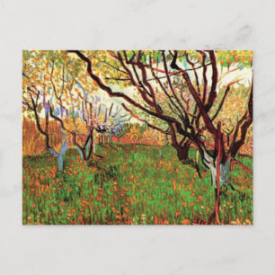 Obstgarten in Blüte, Vincent van Gogh Postkarte