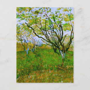 Obstgarten in Blüte, Vincent van Gogh Postkarte