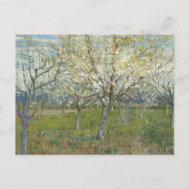 Obstgarten mit blühenden Aprikosenbäumen - Van Gog Postkarte
