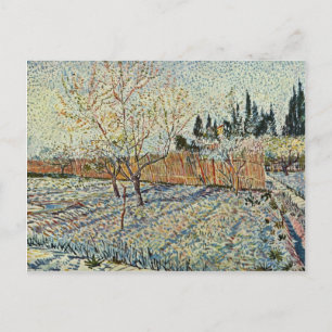Obstgarten mit Cypress von Vincent Van Gogh Postkarte