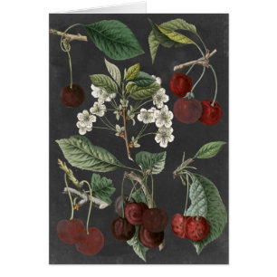 Obstgarten-Vielzahl I