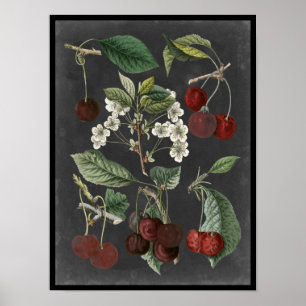 Obstgarten-Vielzahl I Poster