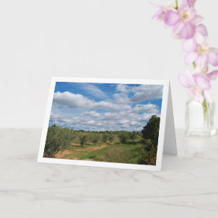 Obstgarten Weg Himmel Landschaft Karte