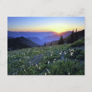 Obstruciton Point Sonnenuntergang, Olympic NP, WA, Postkarte