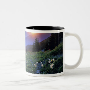 Obstruciton Point Sonnenuntergang, Olympic NP, WA, Zweifarbige Tasse