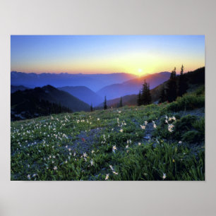 Obstruction Point Sunset, Olympic NP, WA, USA Poster