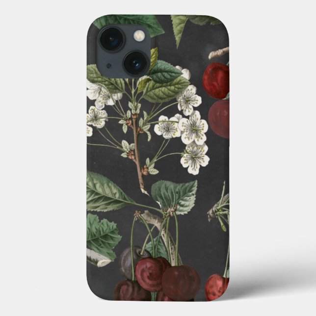 Obstsorten I Case-Mate iPhone Hülle (Rückseite)