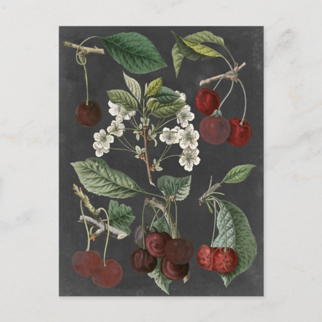 Obstsorten I Postkarte (Vorderseite)