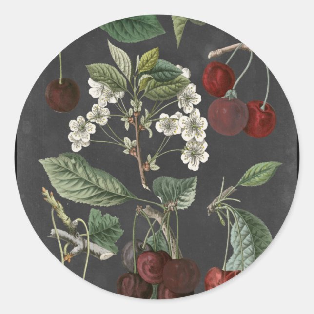 Obstsorten I Runder Aufkleber (Vorderseite)