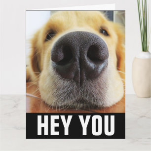 OBTENEZ BIEN CHIEN GUÉRISSER LES VIBES CARTE DE SA