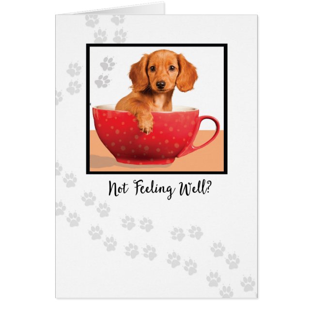 Obtenez bien mignon chien Dachsund en Coupe (Devant)