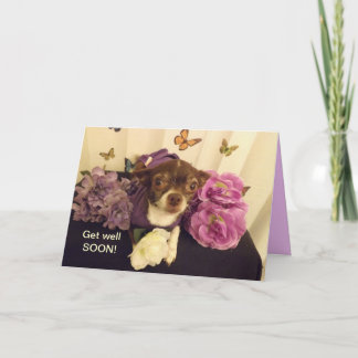 Obtenez bientôt la carte