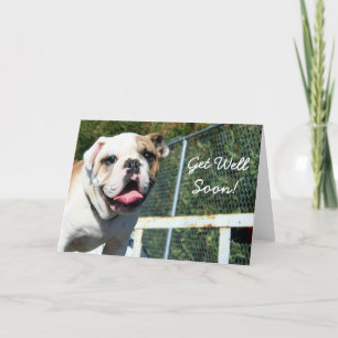 Obtenez bientôt la carte de salutation bulldog