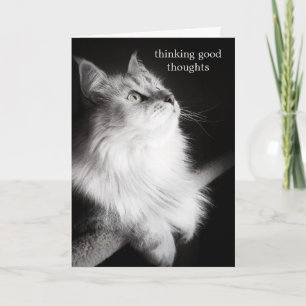 Obtenez des voeux pour la carte Amoureux des chats