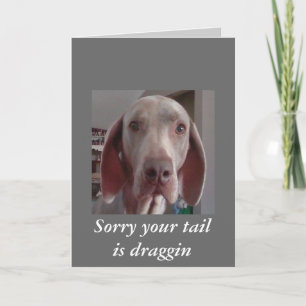 Obtenir la carte well