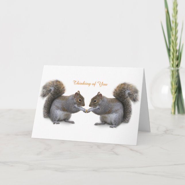 Obtenir une carte (Devant)