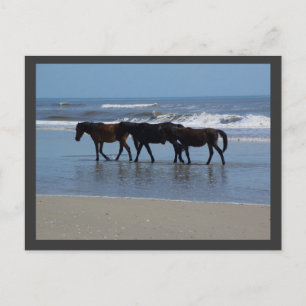 OBX POSTKARTE