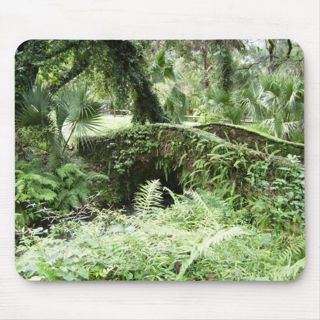 Ocala Florida Waldsteg mousepad Fotokunst (Vorne)