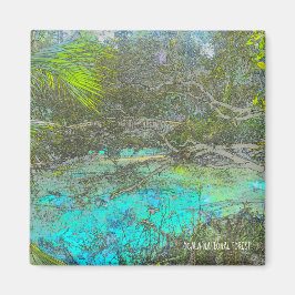 Ocala National Forest Florida Magnet