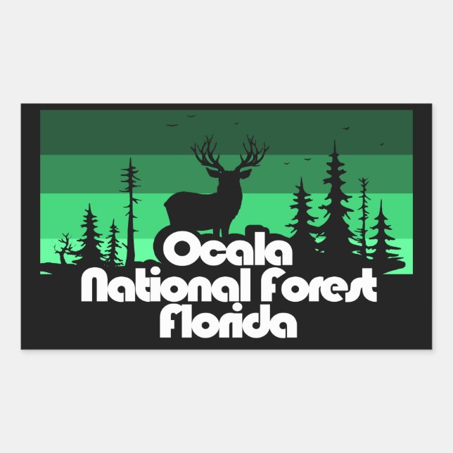 Ocala National Forest Florida Rechteckiger Aufkleber (Vorderseite)