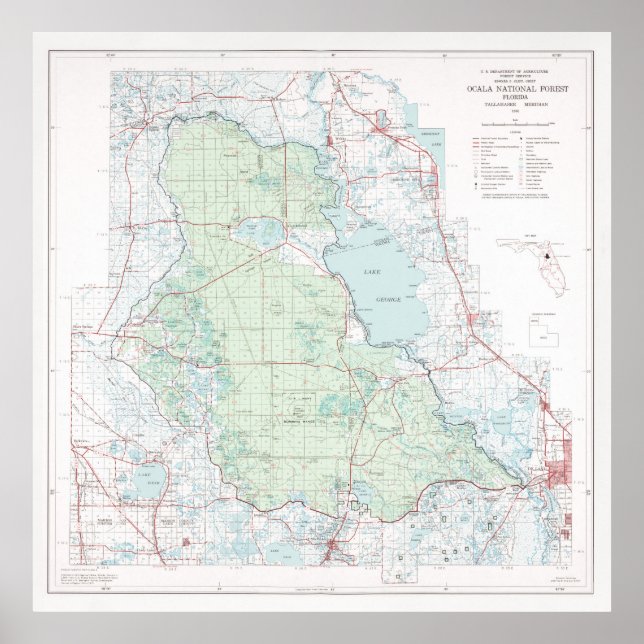 Ocala National Forest Map (1971) Florida Woodlands Poster (Vorne)