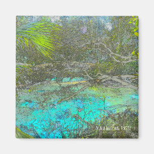 Ocala Wald-Florida-Magnet Magnet