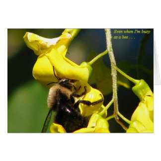Occupé comme une abeille