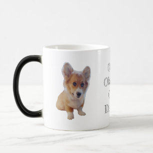 OCD : Corgi Obsessive trouble café Mug