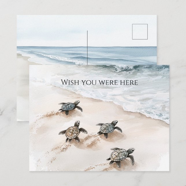 Ocean Beach Coast Sea Turtles Postkarte (Vorne/Hinten)
