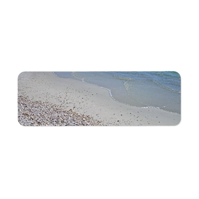 Ocean Beach und Muscheln (Vorne)