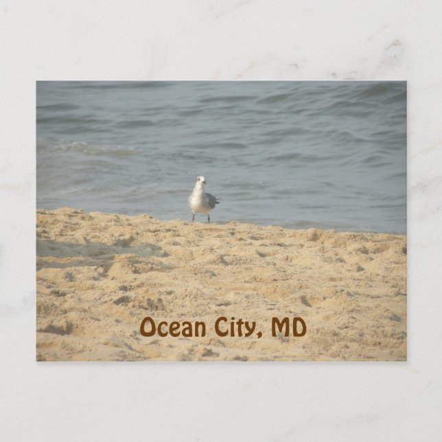Ocean City, carte postale MD (Devant)