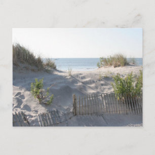 Ocean City Dünen Postkarte