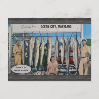 Ocean City, Maryland Heimat des Weißen Marlin, Vin Postkarte