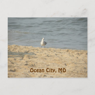 Ocean City, MD Postcard Postkarte