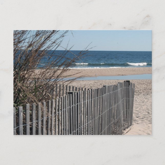 Ocean City Postcard Postkarte (Vorderseite)