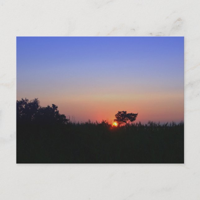 OCEAN CITY POSTKARTE (Vorderseite)