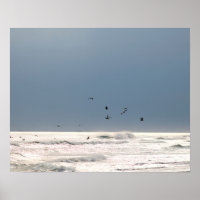 Ocean Horizon mit braunen Pelikanen Farbe 16x20