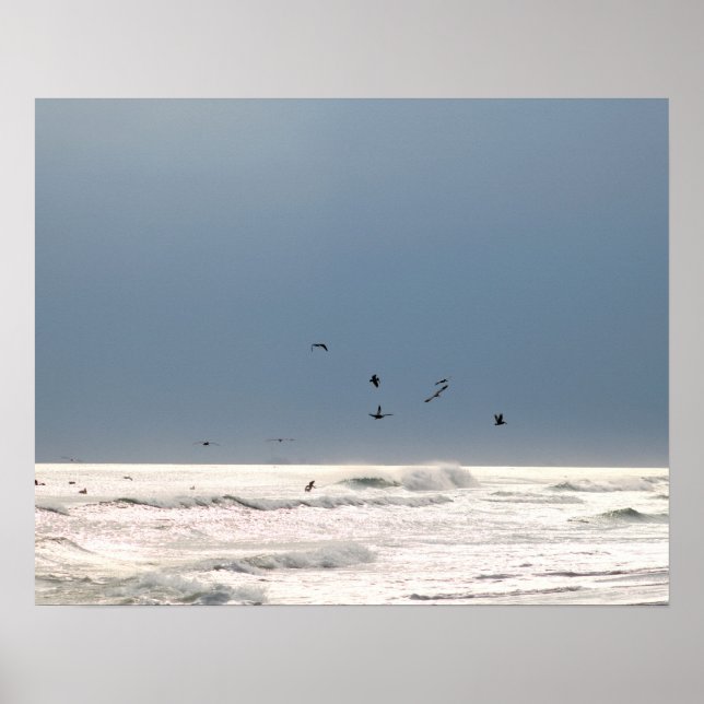 Ocean Horizon mit braunen Pelikanen Farbe 16x20 Poster (Vorne)