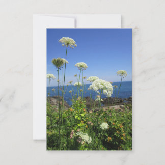 Ocean Lace Note Card Dankeskarte