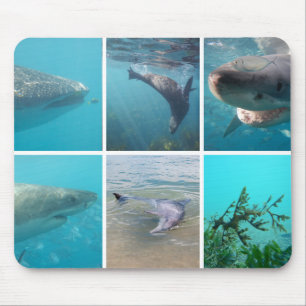 Ocean Life Underwater Animals Wildlife Australien Mousepad