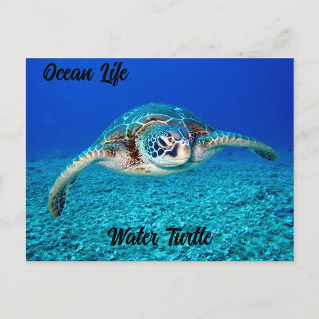 Ocean Life Water Turtle Postkarte (Vorderseite)