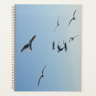 Ocean Seagulls in Flight Coastal Wildlife