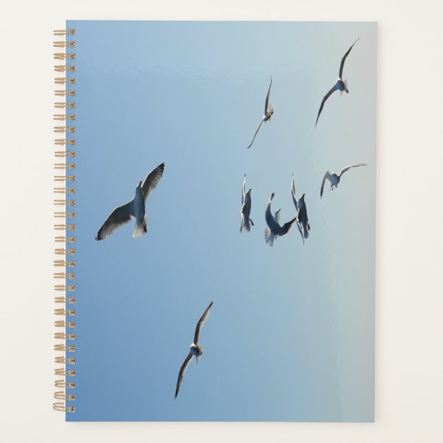 Ocean Seagulls in Flight Coastal Wildlife Planer (Vorderseite)
