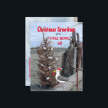 Ocean Shows WA Christmas Seagull Beach Driftwood Feiertagspostkarte<br><div class="desc">Weihnachts Grüße von Ocean Shows, Washington! Diese lustige und skurrile Postkarte besticht durch ein Foto aus Strandszene mit einer tropfenden Holzhütte mit Strandurlaubsdekor - ein weihnachtlicher Tropfbaum, der von Muscheln und anderen Funden geschmückt ist. Ich habe ein originelles Möbelgemälde mit seiner Weihnachtsmannmütze hinzugefügt, um die Saison zu feiern. Die Ferien...</div>