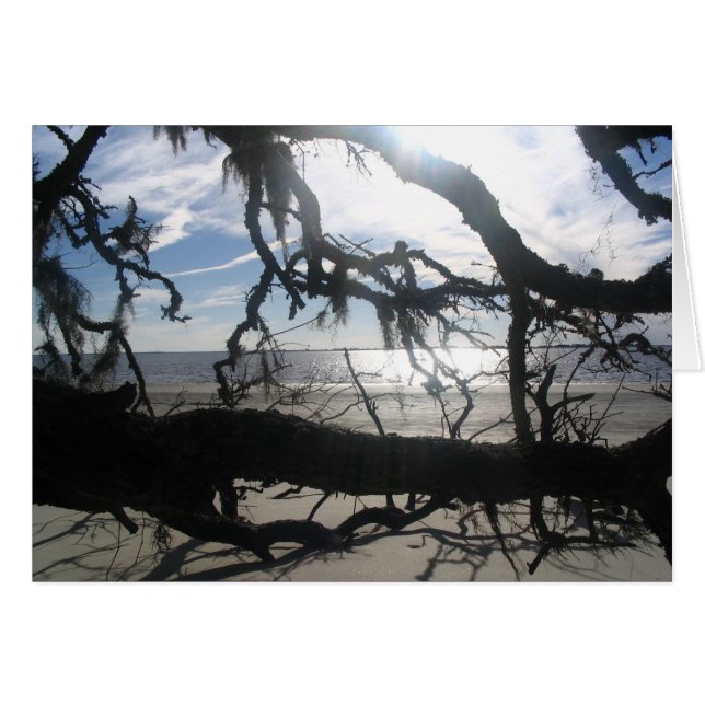 Ocean Sunset (Vorderseite (Horizontal))