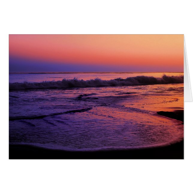 Ocean Sunset (Vorderseite (Horizontal))