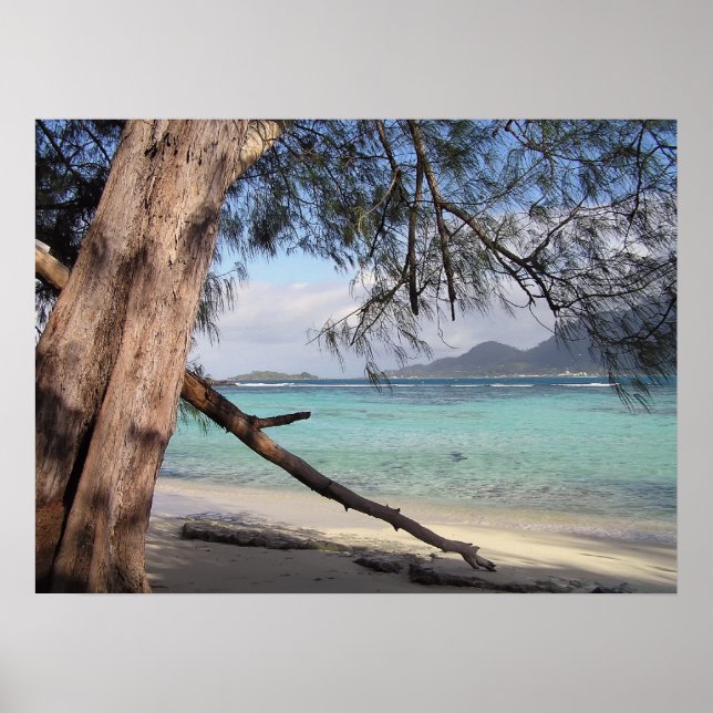 Ocean View Poster (Vorne)