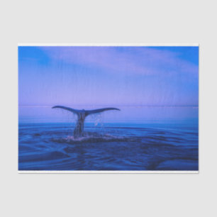 Ocean Whale Decoupage Seidenpapier